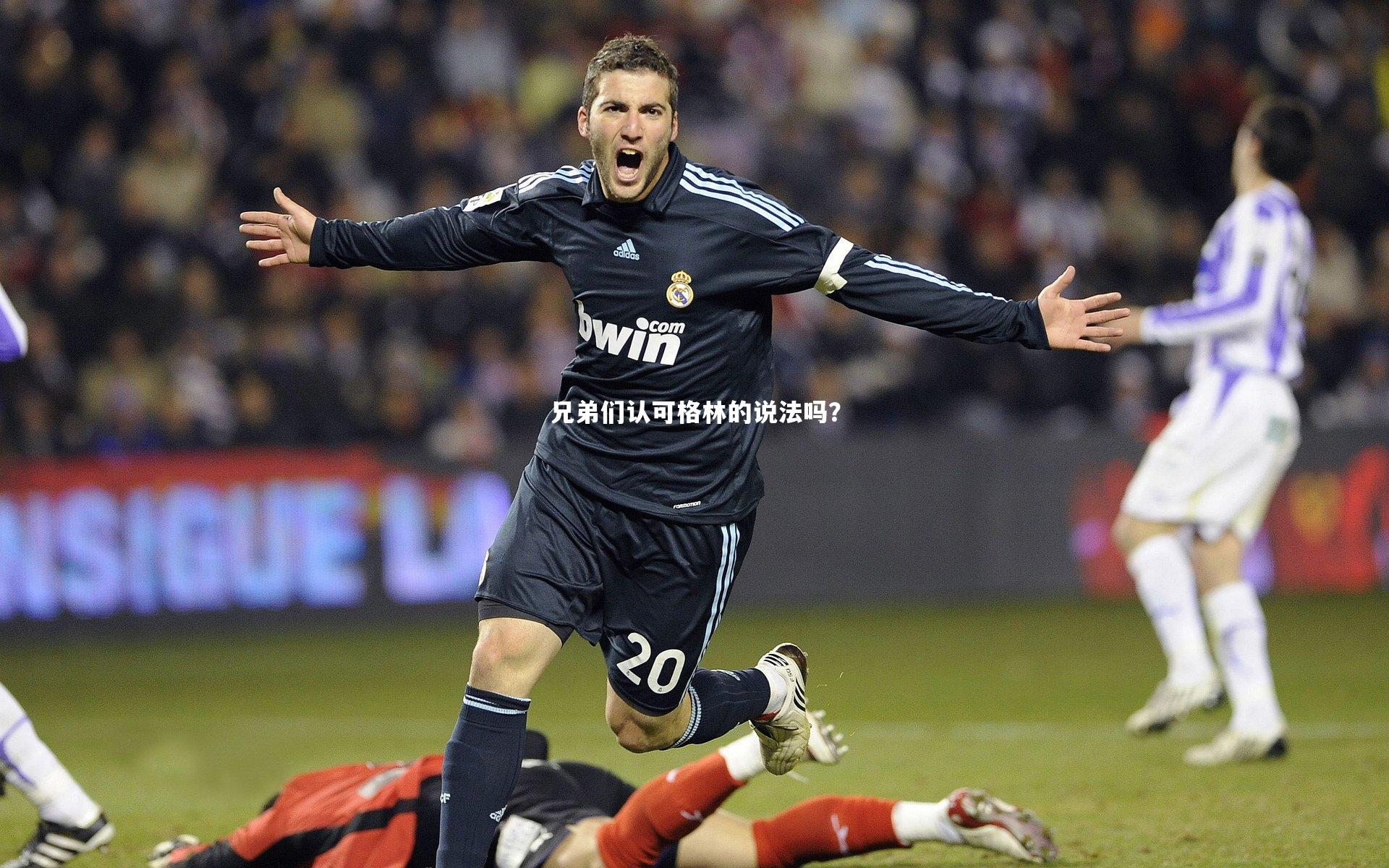 兄弟们认可格林的说法吗？