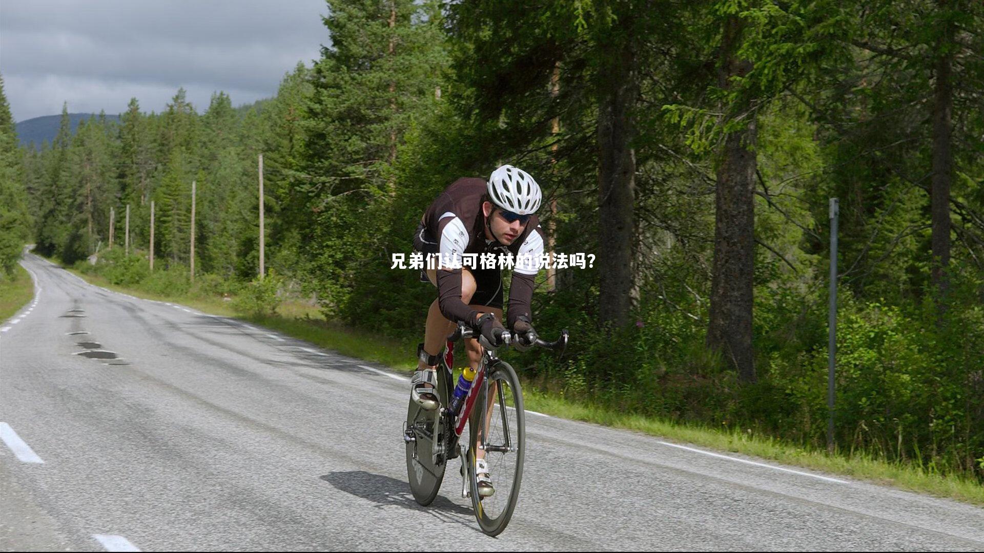 兄弟们认可格林的说法吗？